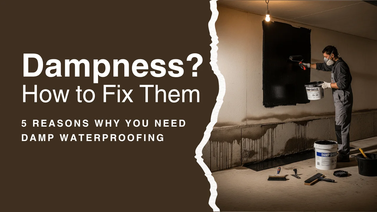 Home dampness