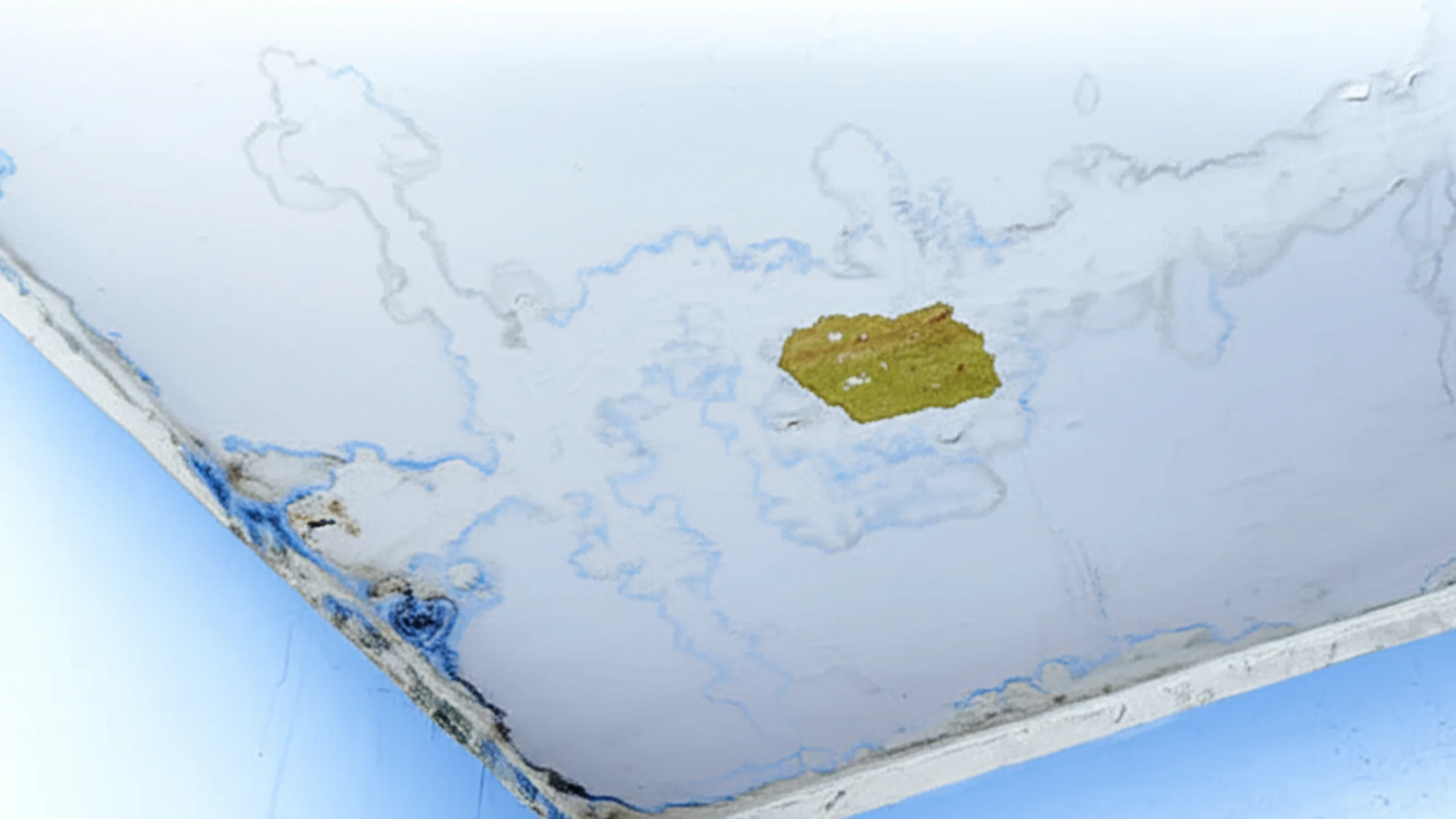 Water Seepage Issues
